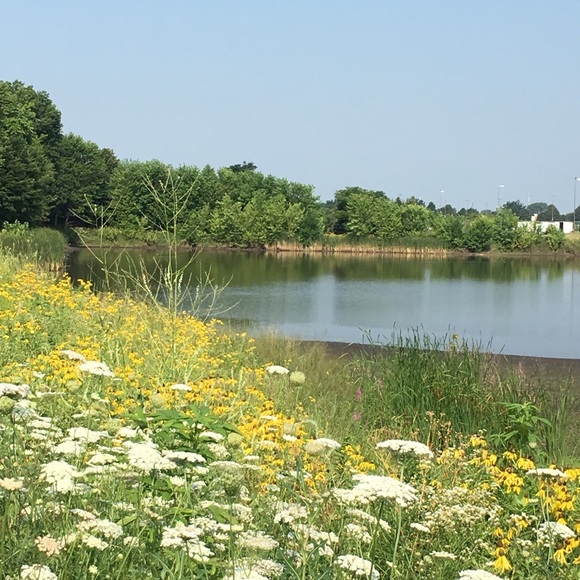 Meet your Posher, Sherry - Picture 1 of 1